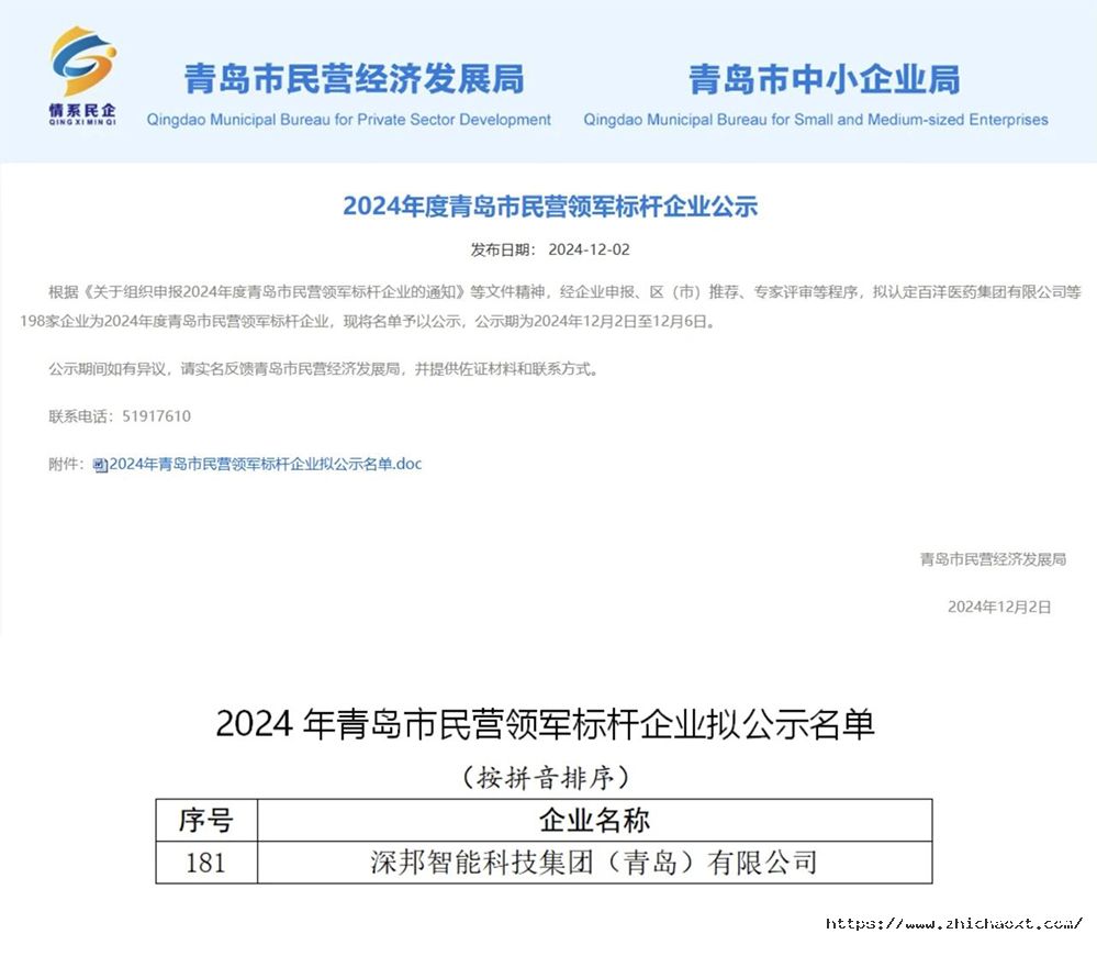 2024年度青岛市民营领军标杆企业图